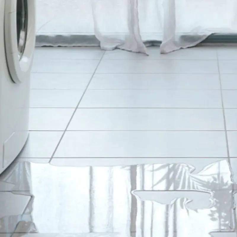 Appliance Leak Cleanup in Campbell, OH