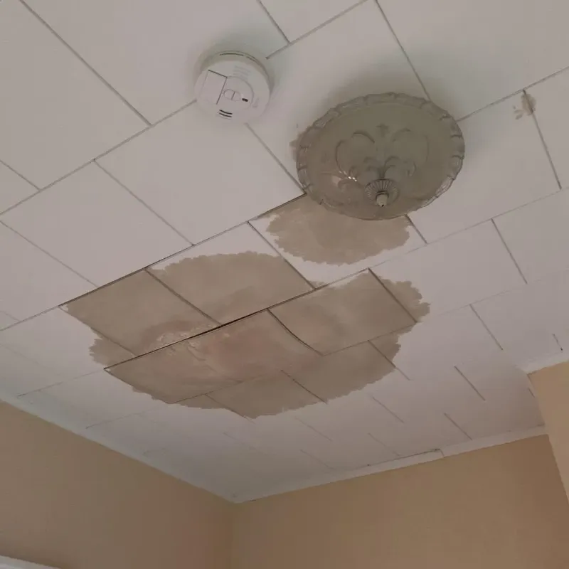 Ceiling Water Damage Repair in Campbell, OH