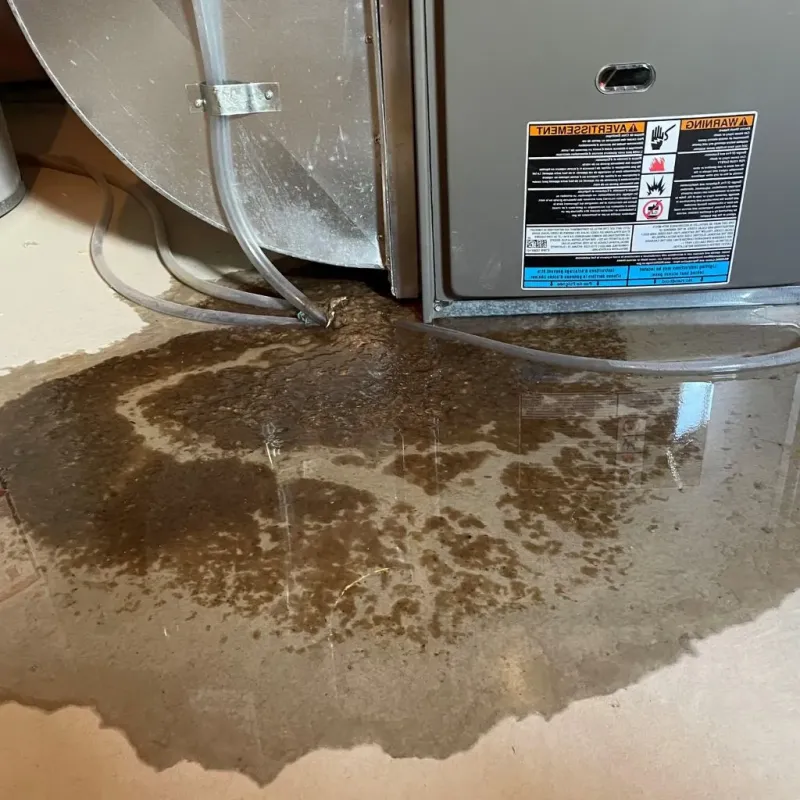 Pipe Burst and Leak Restoration in Campbell, OH