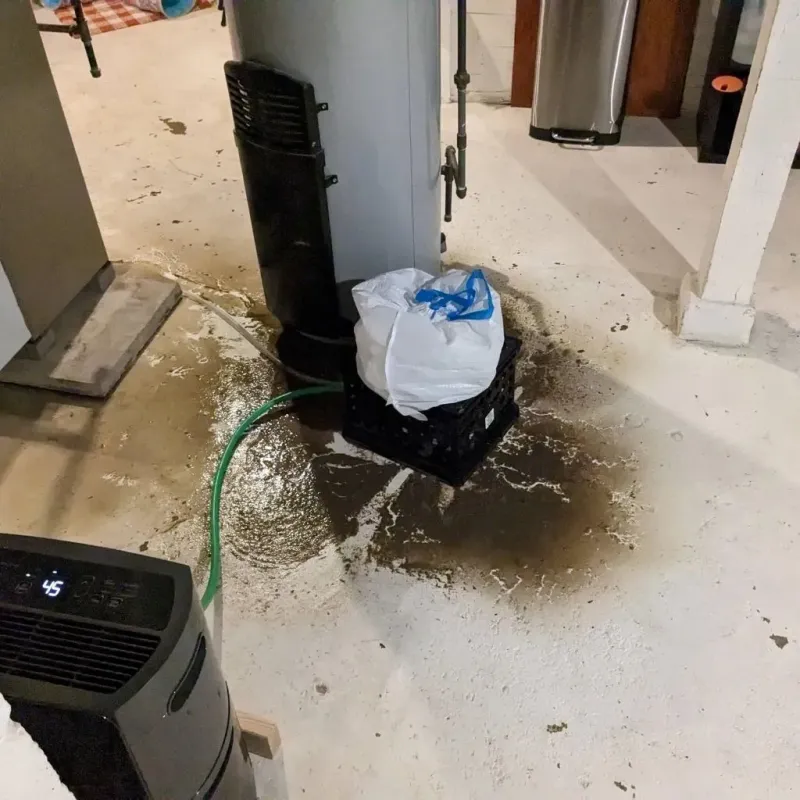 Sewage Backup Cleanup Service in Campbell, OH
